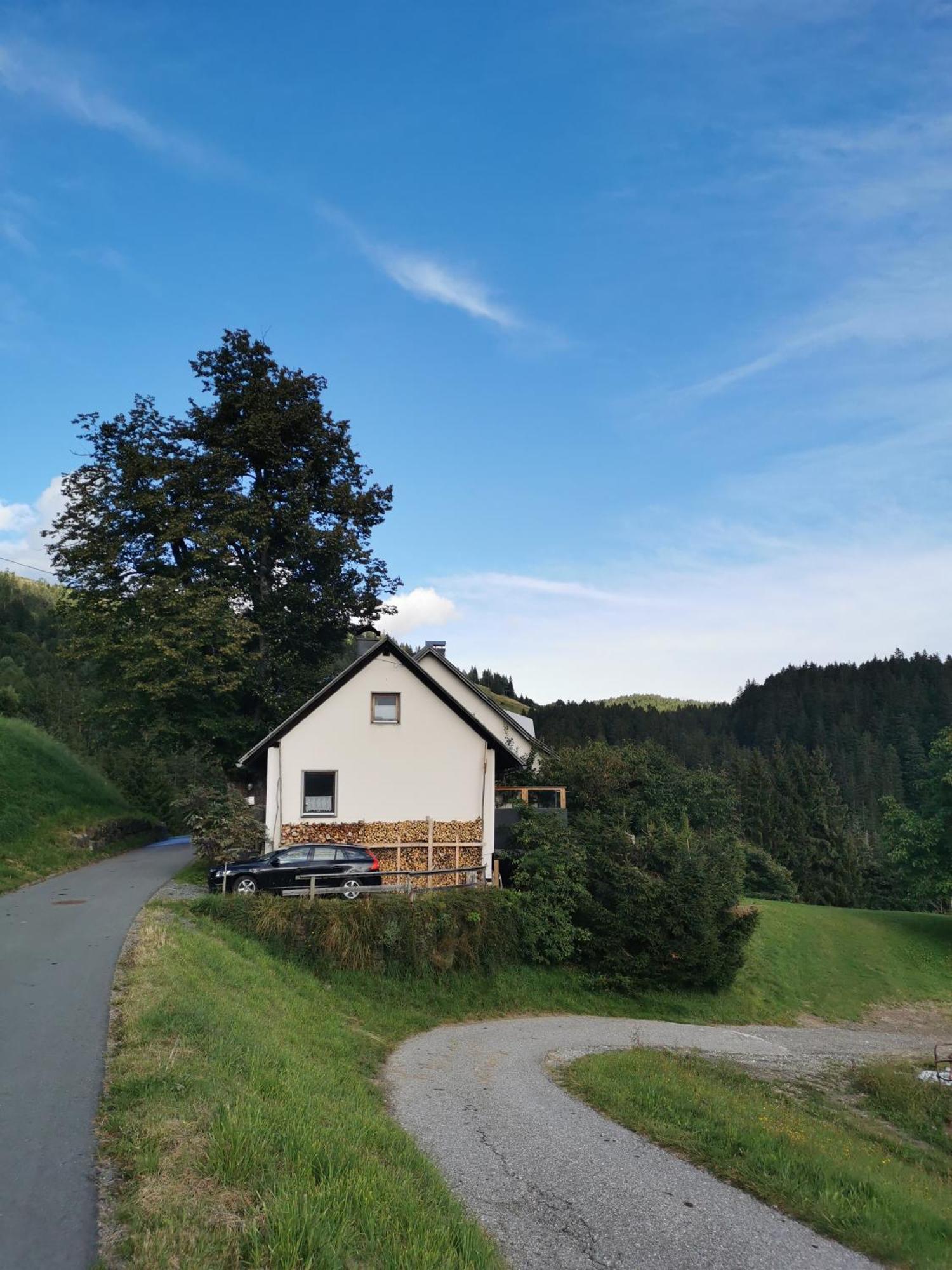 Urlaub Wie Frueher Bei Oma Hermagor-Pressegger See Dış mekan fotoğraf
